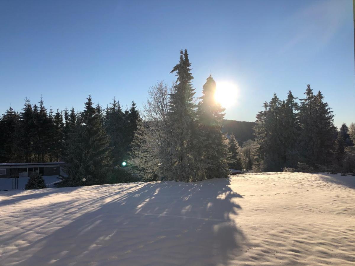 Apartmán Bocksbergglueck In Hahnenklee, Endreinigung, Bezogene Betten, Handtuecher Inklusive Goslar Exteriér fotografie